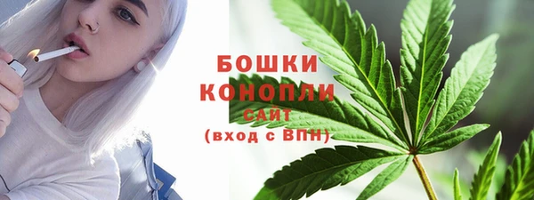 тгк Сатка