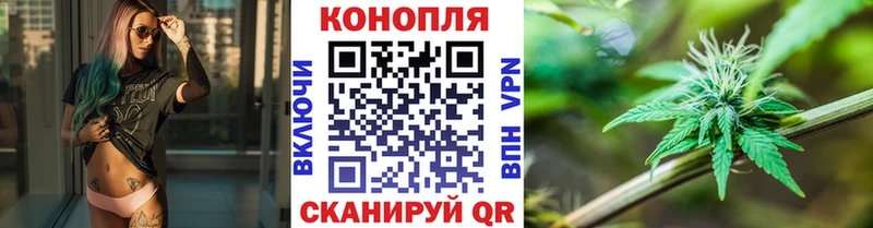 Марихуана MAZAR  закладка  Новоржев 